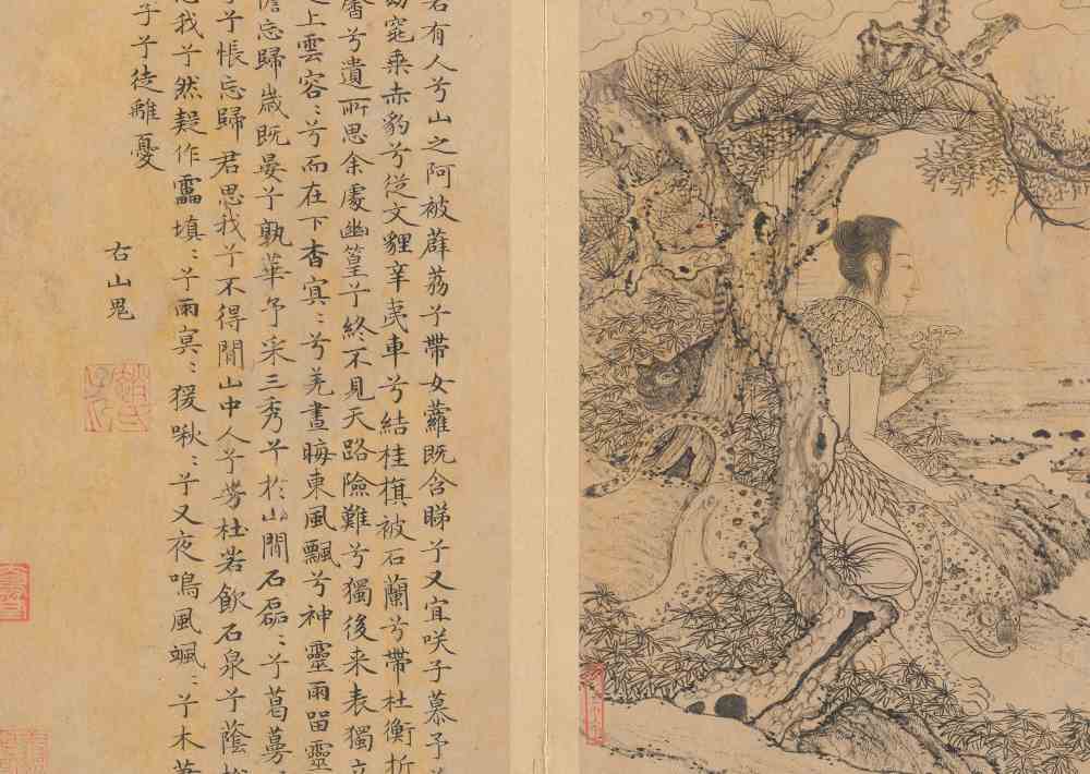 無圖片