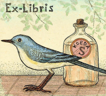 收藏家：小枝昭一