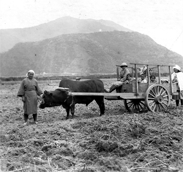 平地原住民的生活 國立臺灣歷史博物館提供