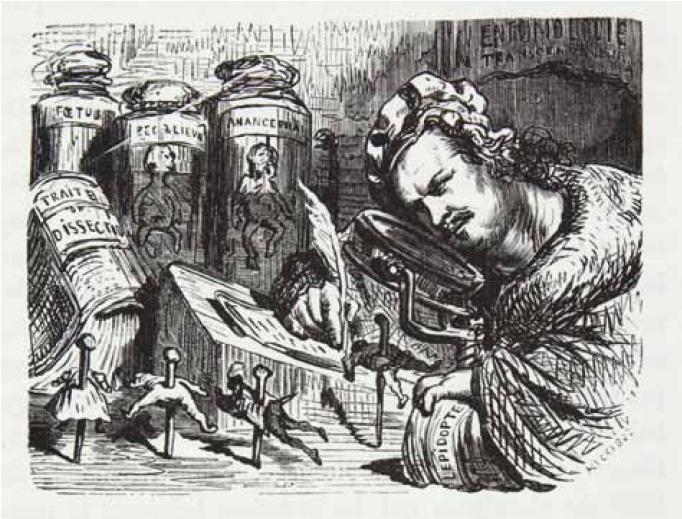 昆蟲學家巴爾札克