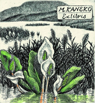 收藏家：金子元久