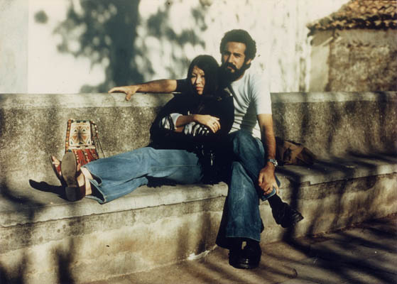 撒哈拉沙漠、加納利群島