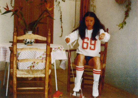 撒哈拉沙漠、加納利群島