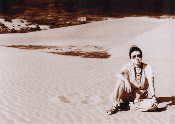 撒哈拉沙漠、加納利群島